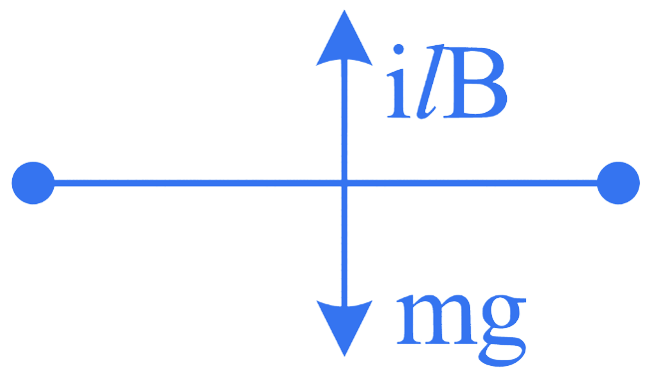 NEET 2023 Physics - Moving Charges and Magnetism Question 3 English